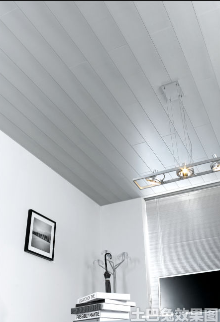 PVC Ceiling