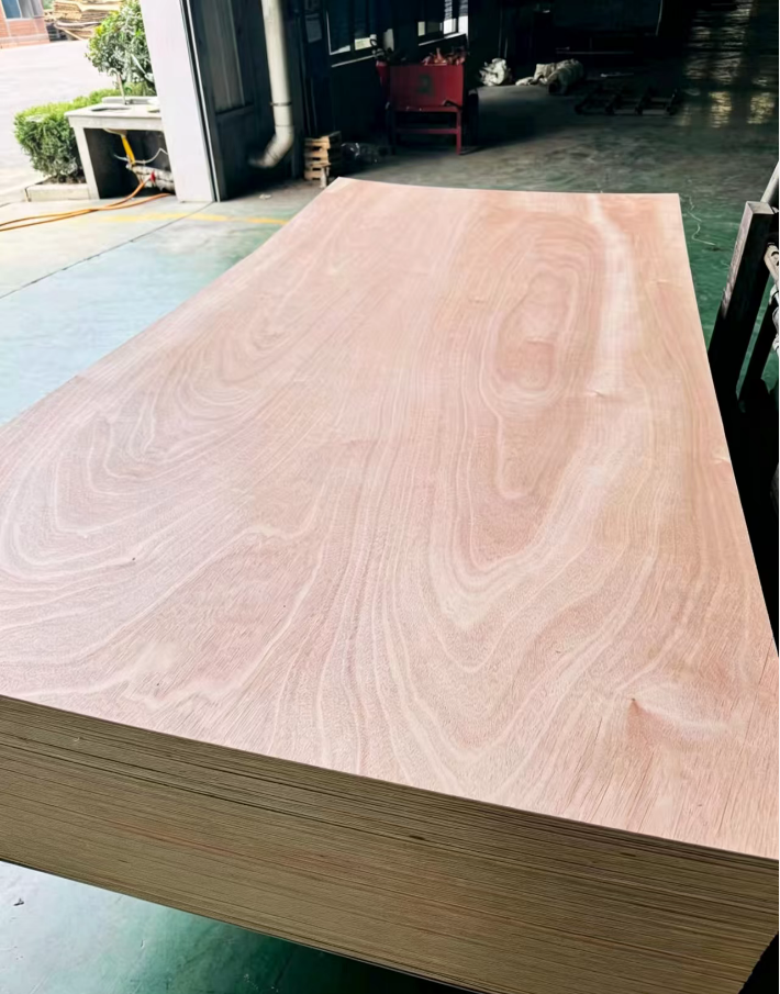 Okoume Plywood